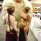Illustration for article titled Cutest and Funniest Cosplay From emStar Wars/em Celebration VI!